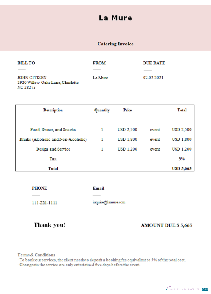 Download USA La Mure invoice Photoshop template